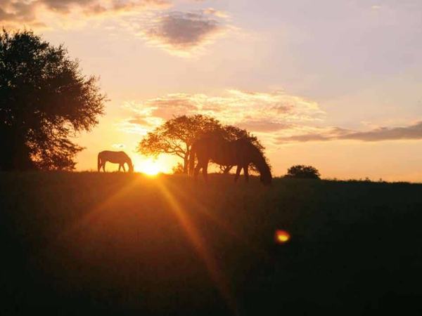 Atardecer en Guayascate · Estancia Guayascate