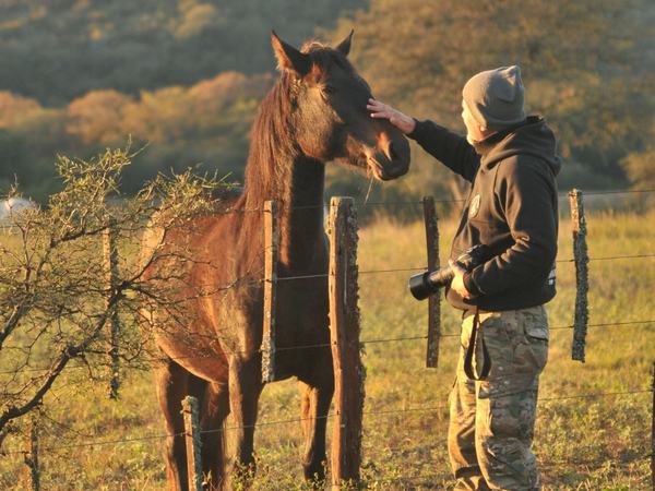 Encuentro con los caballos · Estancia Guayascate